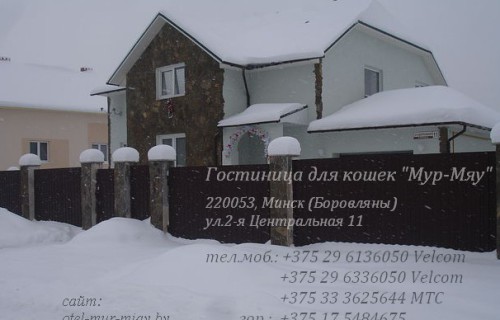 1483103210